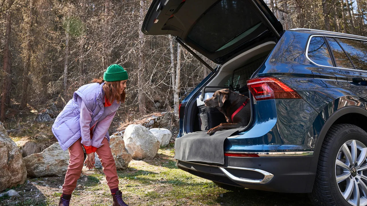 CarFun.ro - Accesorii Originale