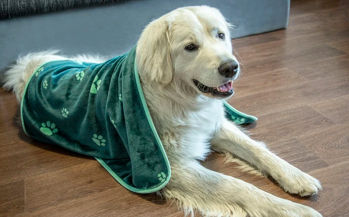 Patura pentru caini Skoda Hundedecke – verde electric 100x70 cm