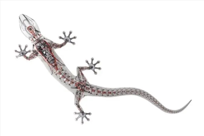 Folie ornamentala originala Audi Gecko Technology personalizare vehicul