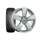 Set roti iarna Skoda Karoq Nanuq 16 inch Bridgestone Blizzak 6