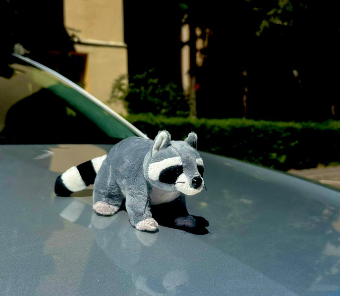 CarFun.ro - Accesorii Originale
