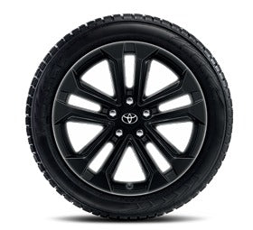 Set roti  iarna RAV4 NG 225/60R18