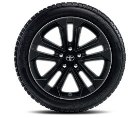 Set roti  iarna RAV4 NG 225/60R18