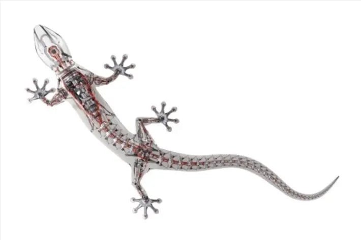 Folie ornamentala originala Audi Gecko Technology - CarFun.ro - Accesorii Originale Auto