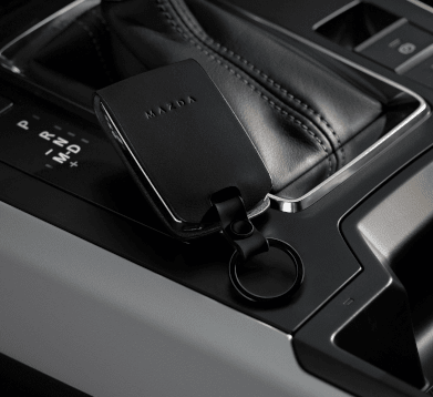 Protectie de cheie din piele nearga - CarFun.ro - Accesorii Originale