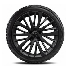 Set roti iarna NG C - HR 225/50R19 - CarFun.ro - Accesorii Originale