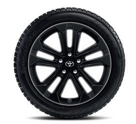 Set roti iarna RAV4 NG 225/60R18 - CarFun.ro - Accesorii Originale