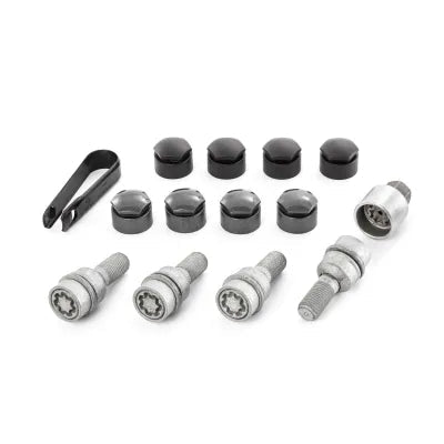 Suruburi roata Audi Q3 Q5 Q7 Q8 e - tron - CarFun.ro - Accesorii Originale